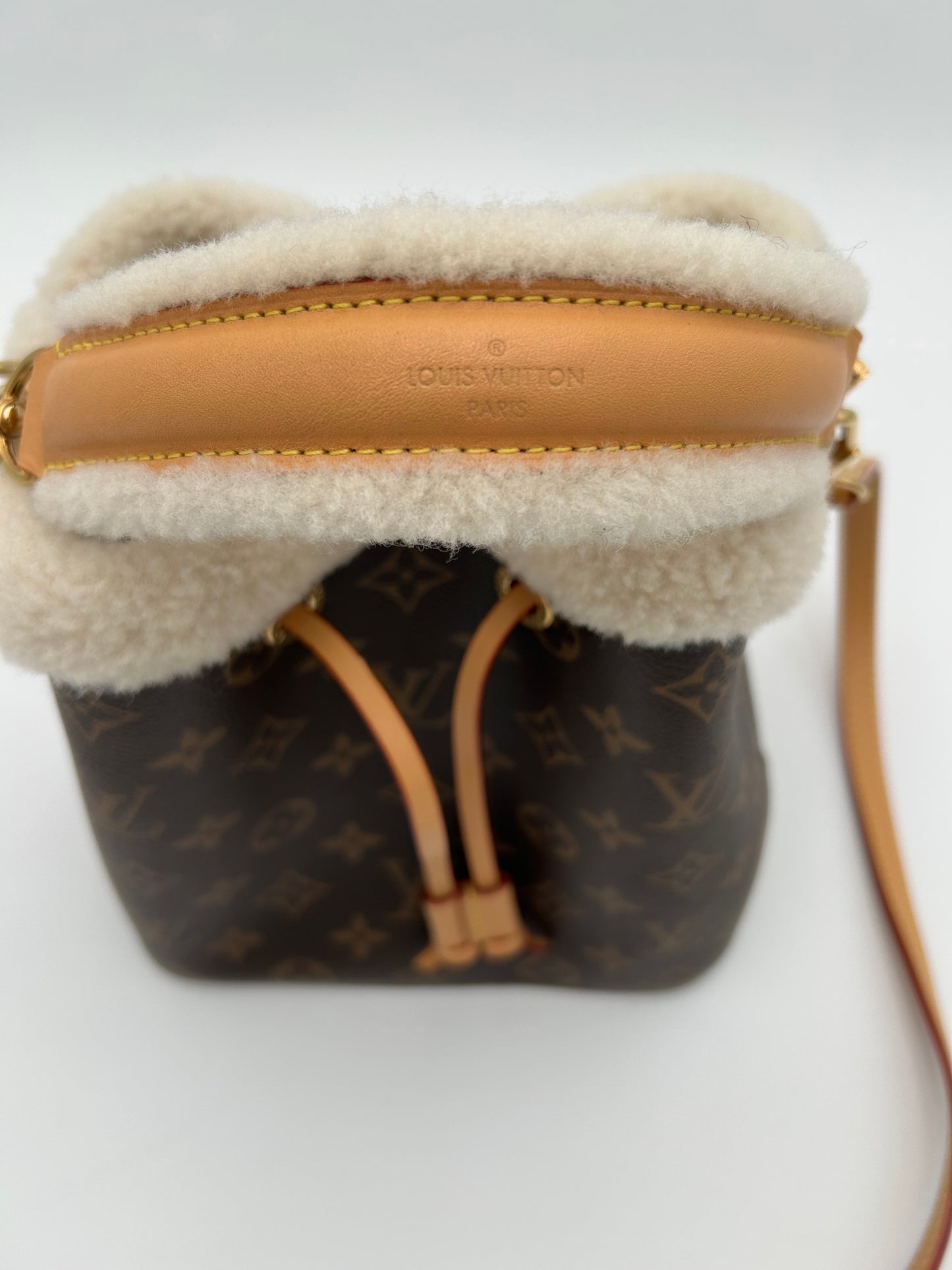 NéoNoé LouisVuitton bag