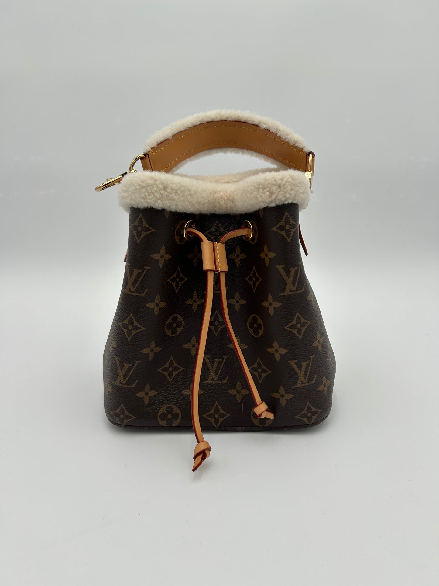 NéoNoé LouisVuitton bag