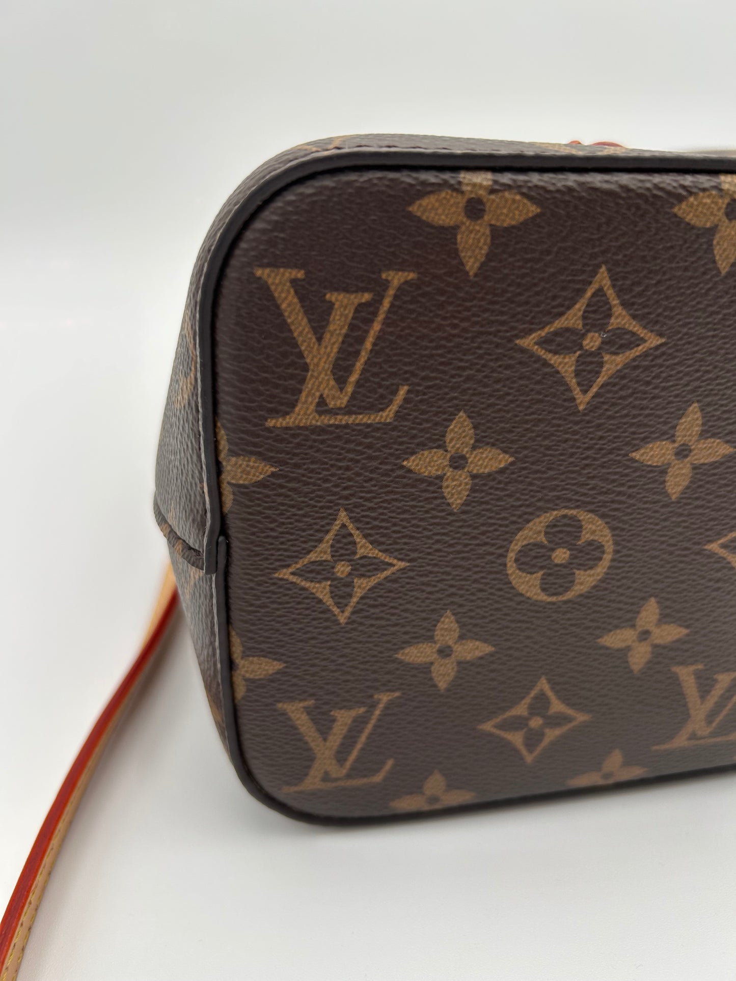 NéoNoé LouisVuitton bag