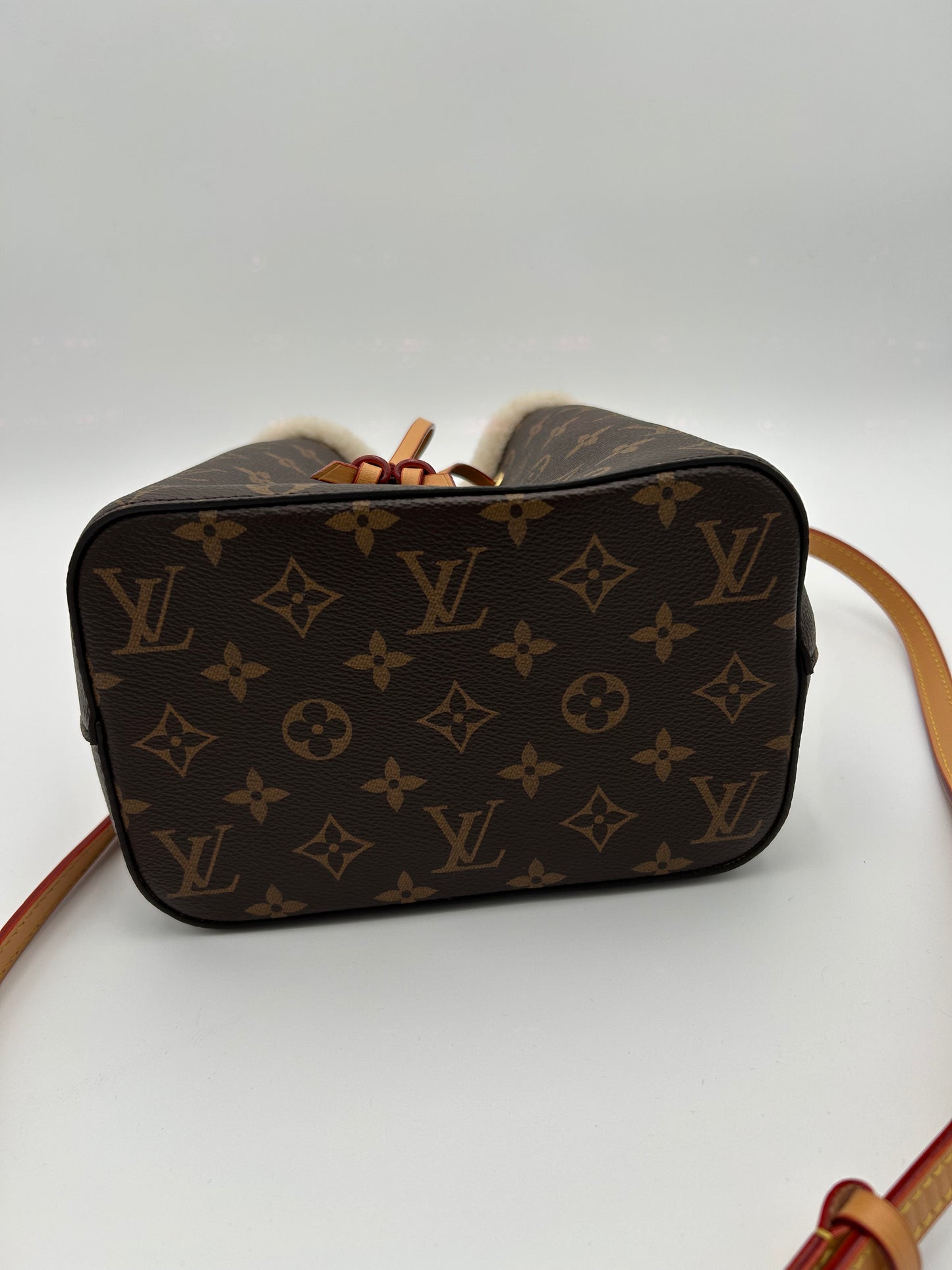 NéoNoé LouisVuitton bag