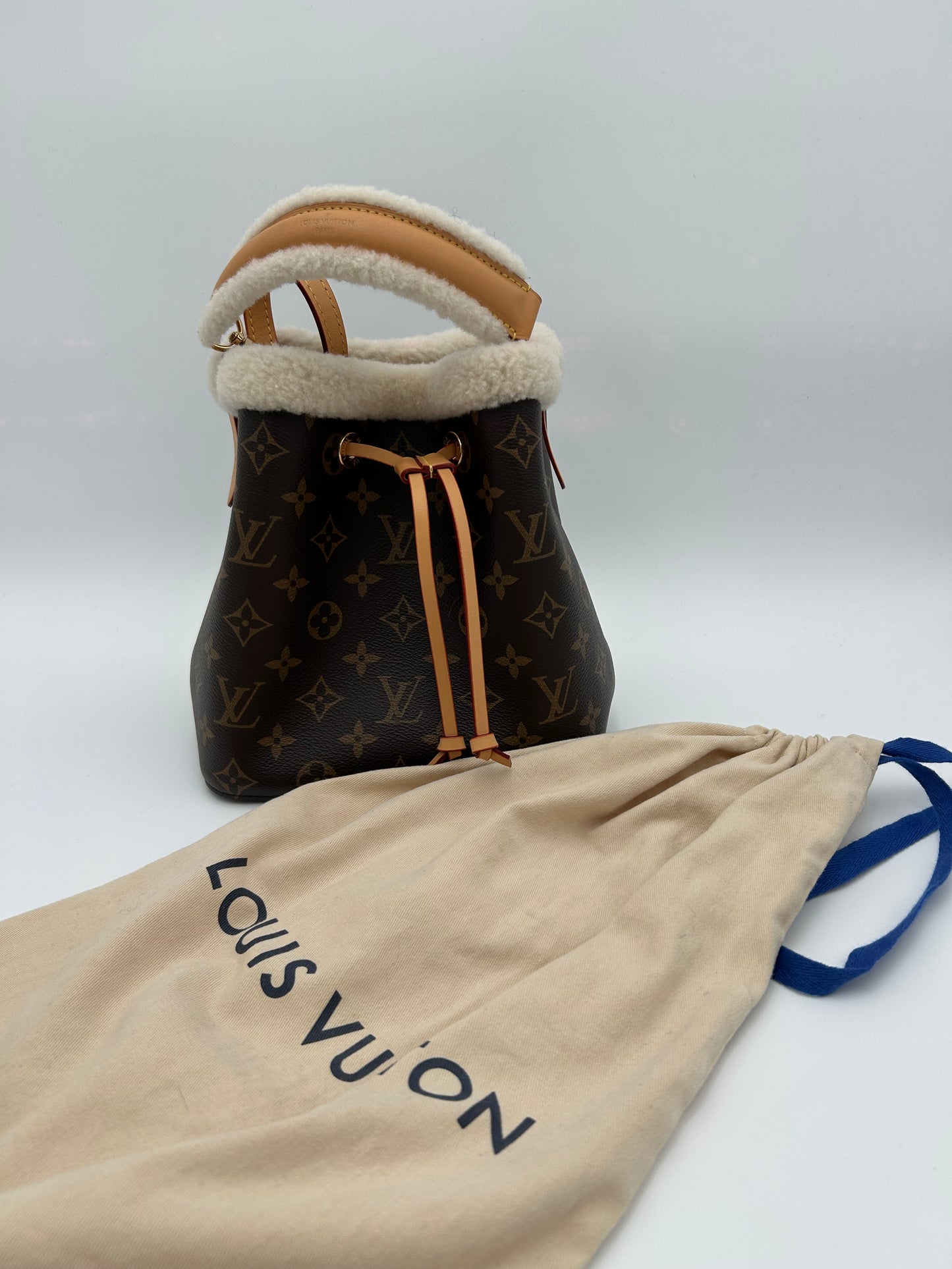 NéoNoé LouisVuitton bag