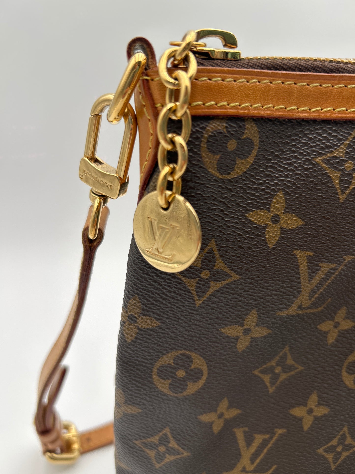 Louis Vuitton “Palermo” Bag
