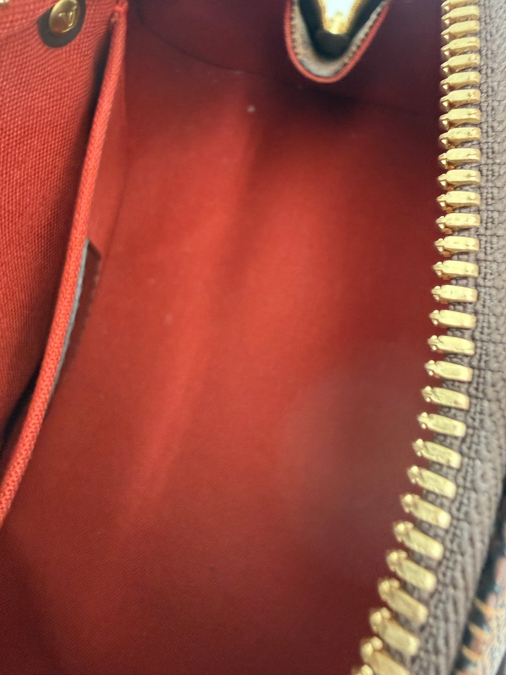 Louis Vuitton Ribera Mini in Tela Damier Ébène