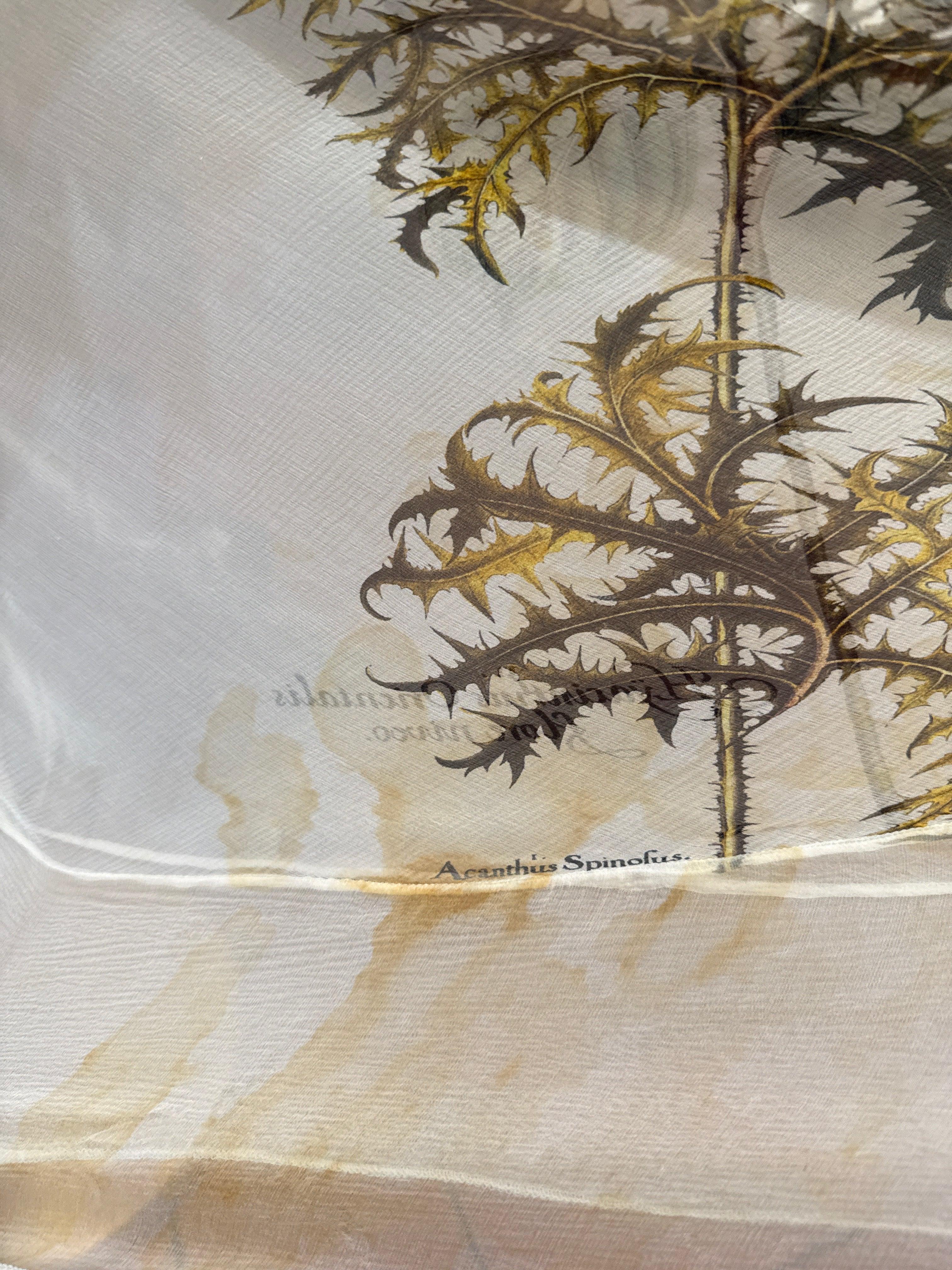 Roberto Cavalli Vintage set in Chiffon di Seta