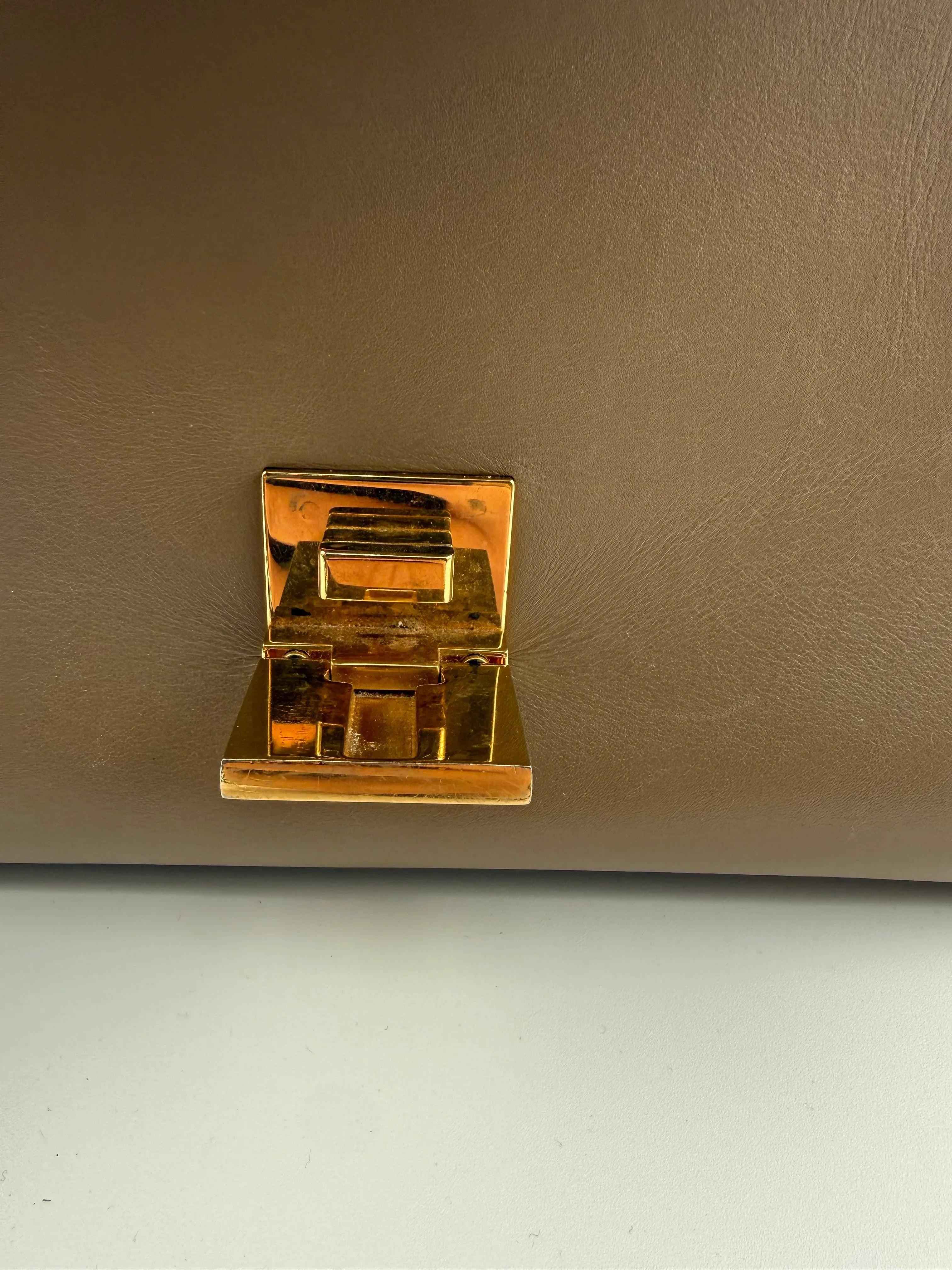 Cèline Borsa Trapeze in Pelle Bicolore Taupe e Rosa
