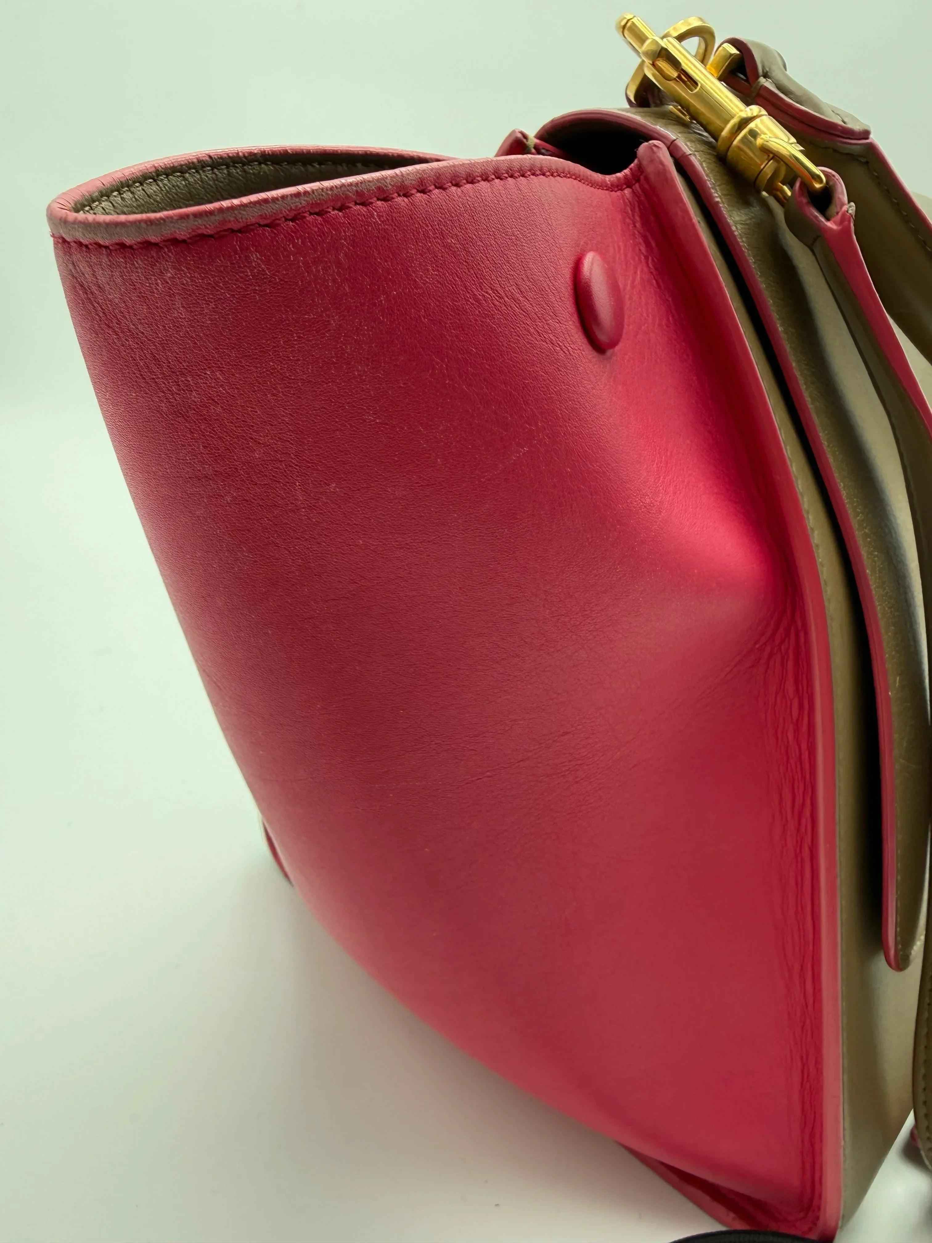 Cèline Borsa Trapeze in Pelle Bicolore Taupe e Rosa