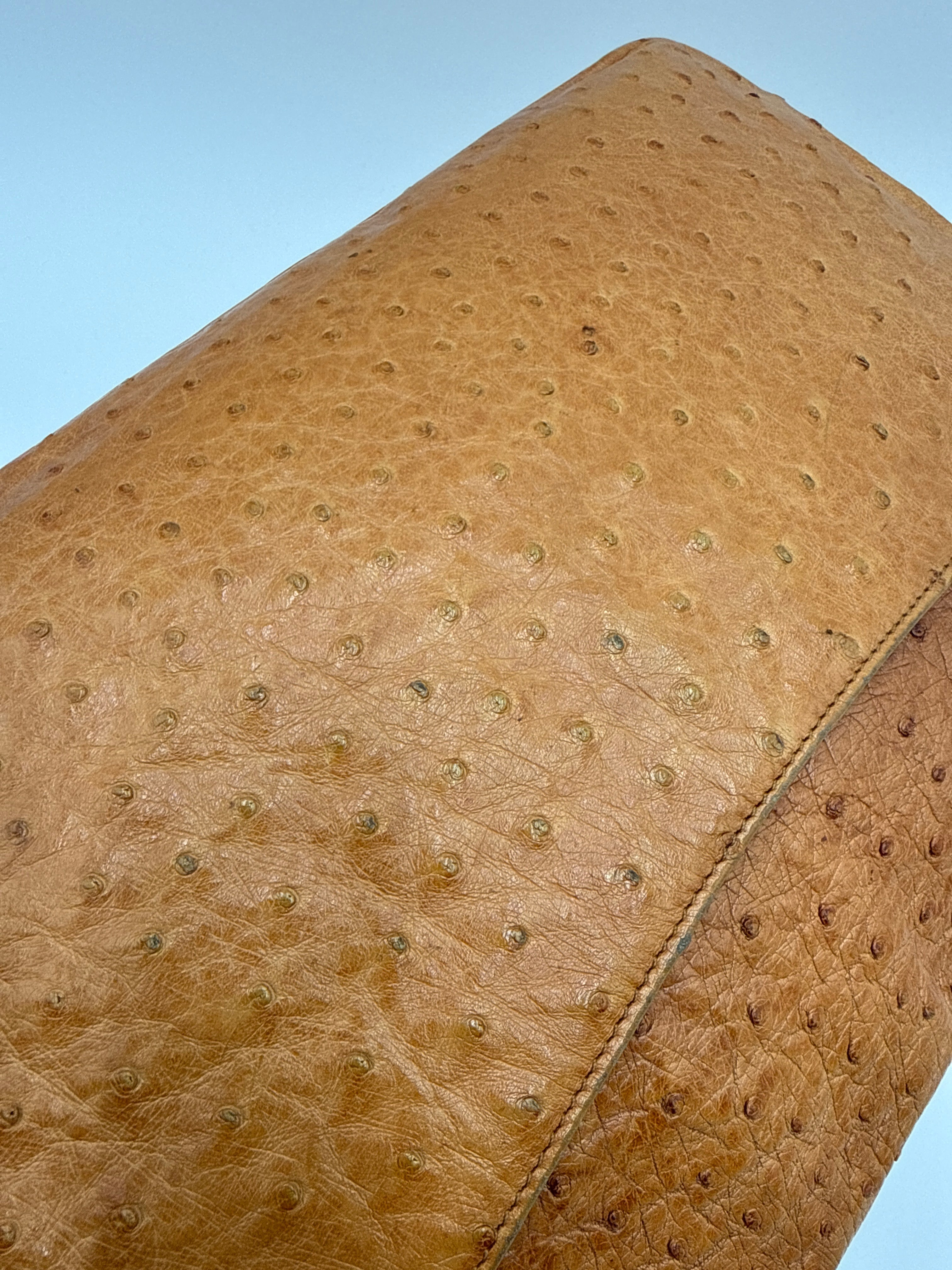 Chanel Vintage in Pelle di Struzzo Marrone Chanel