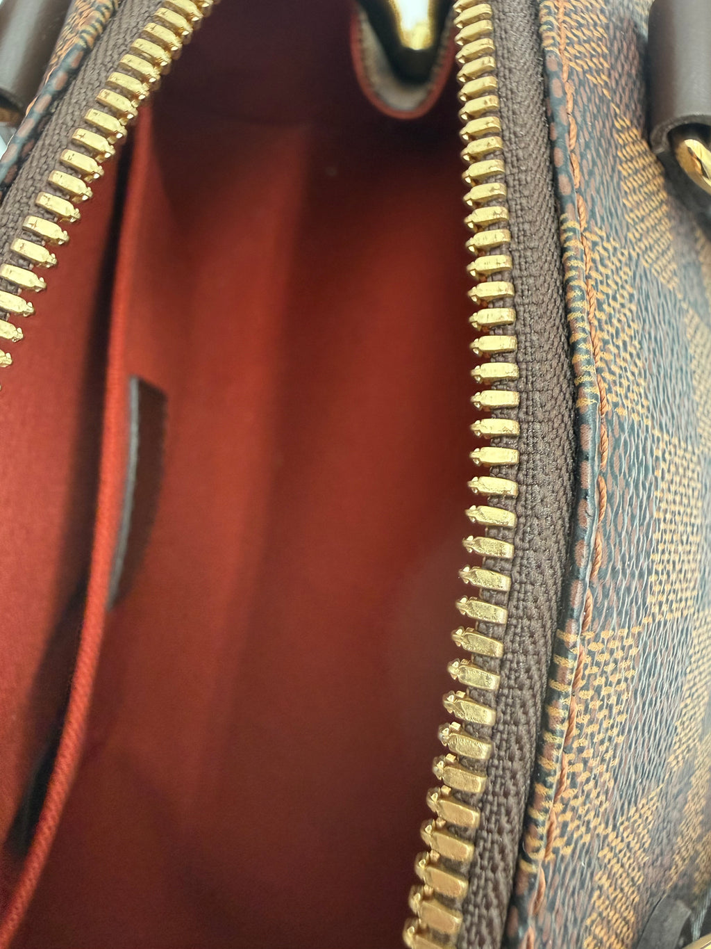Louis Vuitton Ribera Mini in Tela Damier Ébène