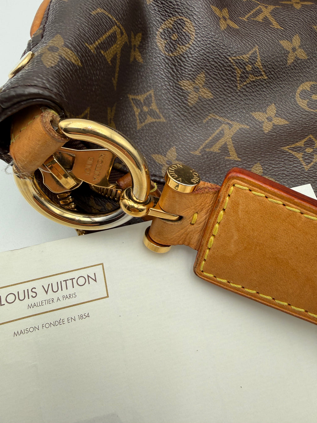 Borsa Louis  Vuitton Sully MM in Tela Monogram