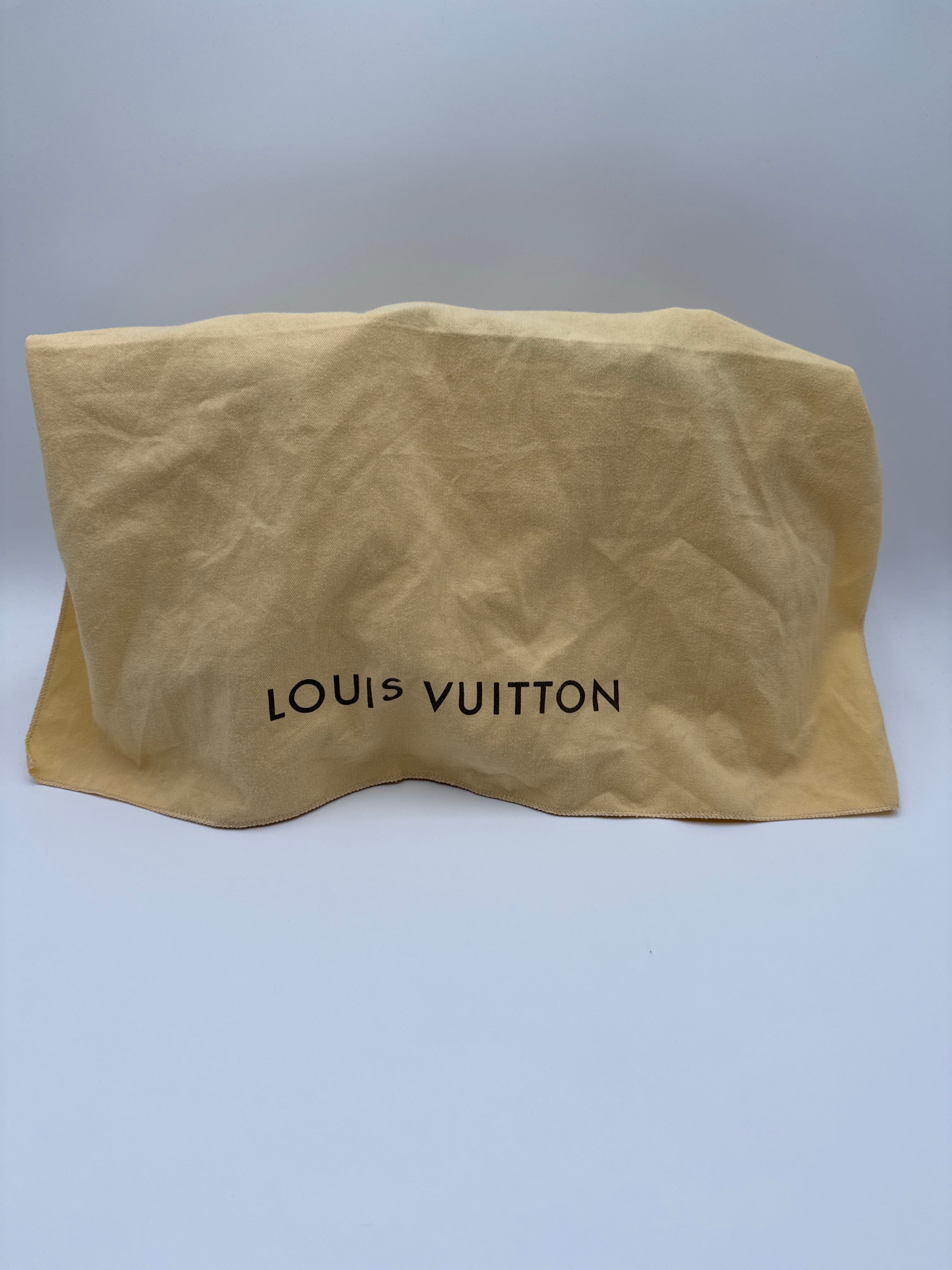 Louis Vuitton Borsa Brea MM Vernice Nera Louis vuitton