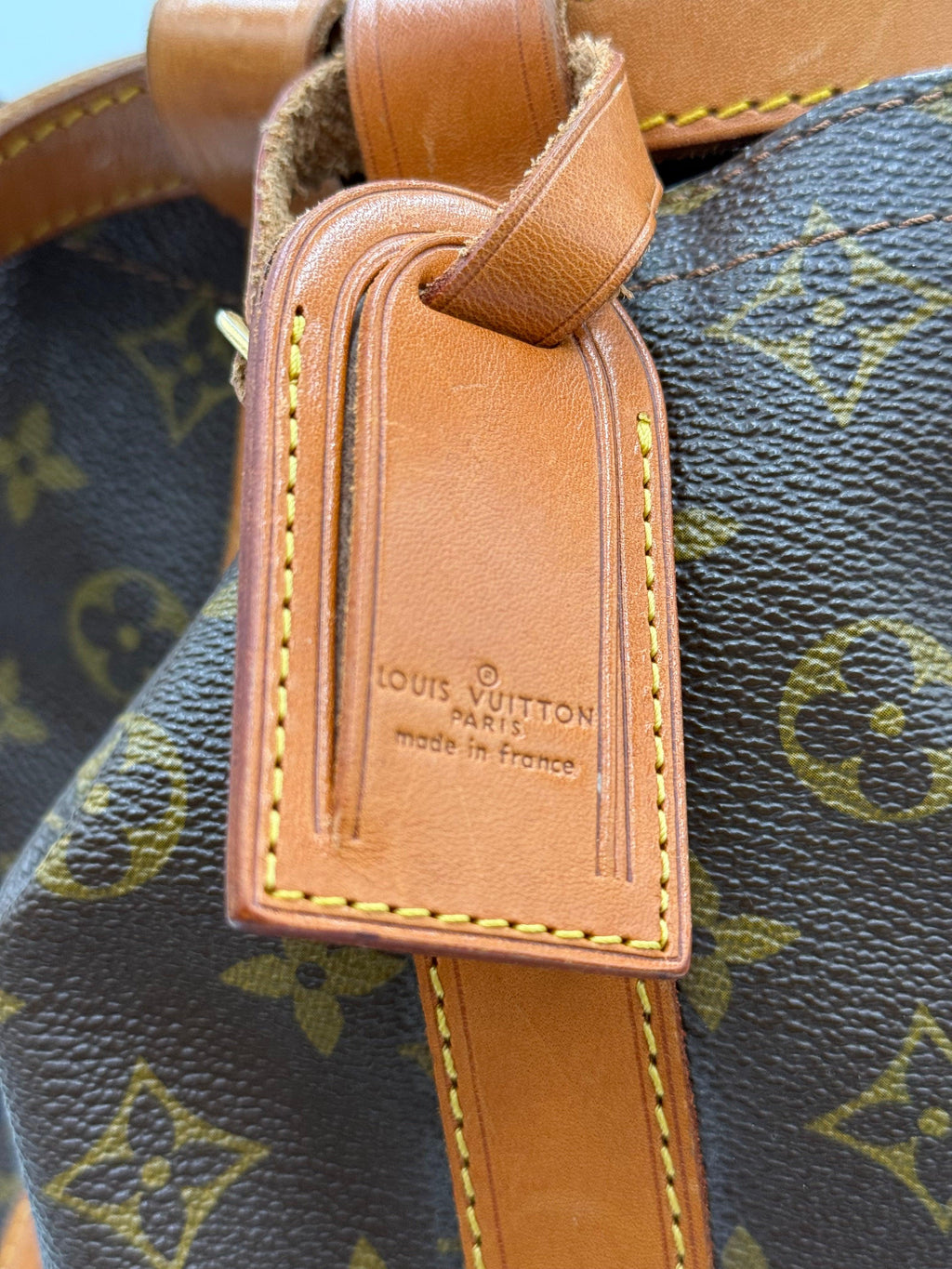 Louis Vuitton Borsa Randonnée Monogram Canvas